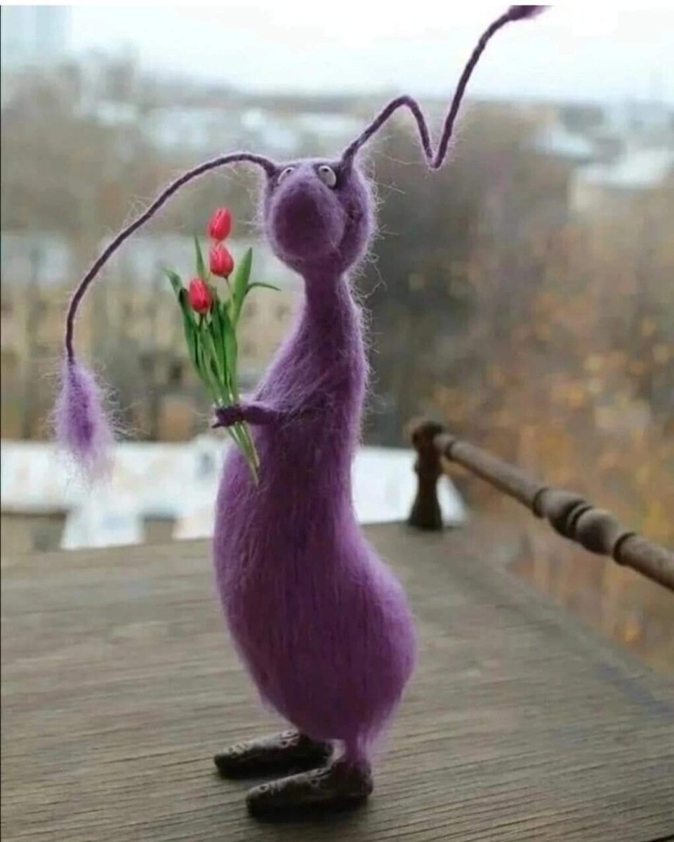 Olga🧸 tweet media