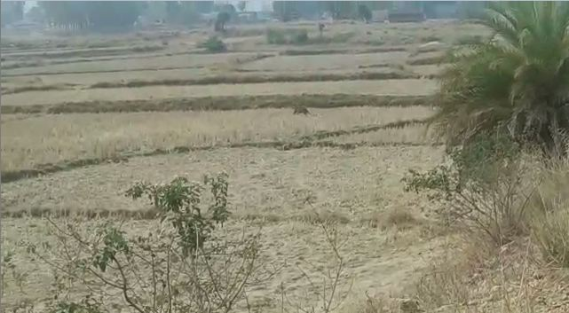NEWS7Odia's tweet photo. -ଟ୍ରାଙ୍କୁଲାଇଜ୍ କରିବାରେ ବନବିଭାଗ ଫେଲ୍
-ଲୁଚିଥିବା ସ୍ଥାନରୁ ଅନ୍ୟତ୍ର ପଳାଇଲା ବାଘ
#sundargarh #Tiger #Tranquilize #PrameyaNews7 https://t.co/9rIP0ytJuM
