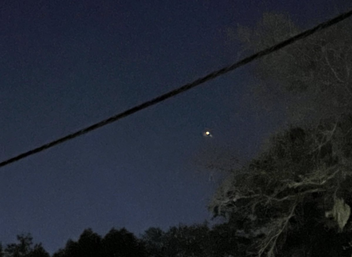 PR3TTY3Y3S's tweet photo. 🚀🥰❤️ Crew 6  launch was so beautiful! 🥰❤️ 👩‍🚀 https://t.co/u3jMGssSe0
