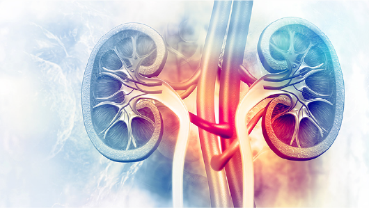 Nephrology19's tweet photo. #Nephrology journal includes wide areas of studies in this field by including #dialysis #kidneyTransplant #acutekidney failure #chronickidney disease, #cancer-related kidney diseases etc. https://t.co/TdCMx7NJfv.
Submit your manuscript at: https://t.co/iS9hdtA3Gz https://t.co/KrX2RdRBbv