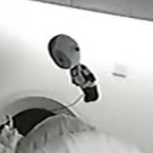 Astro_ANTH's tweet photo. Little dude #crew6 #spacex #zerogindicator https://t.co/DISIh9iBWb