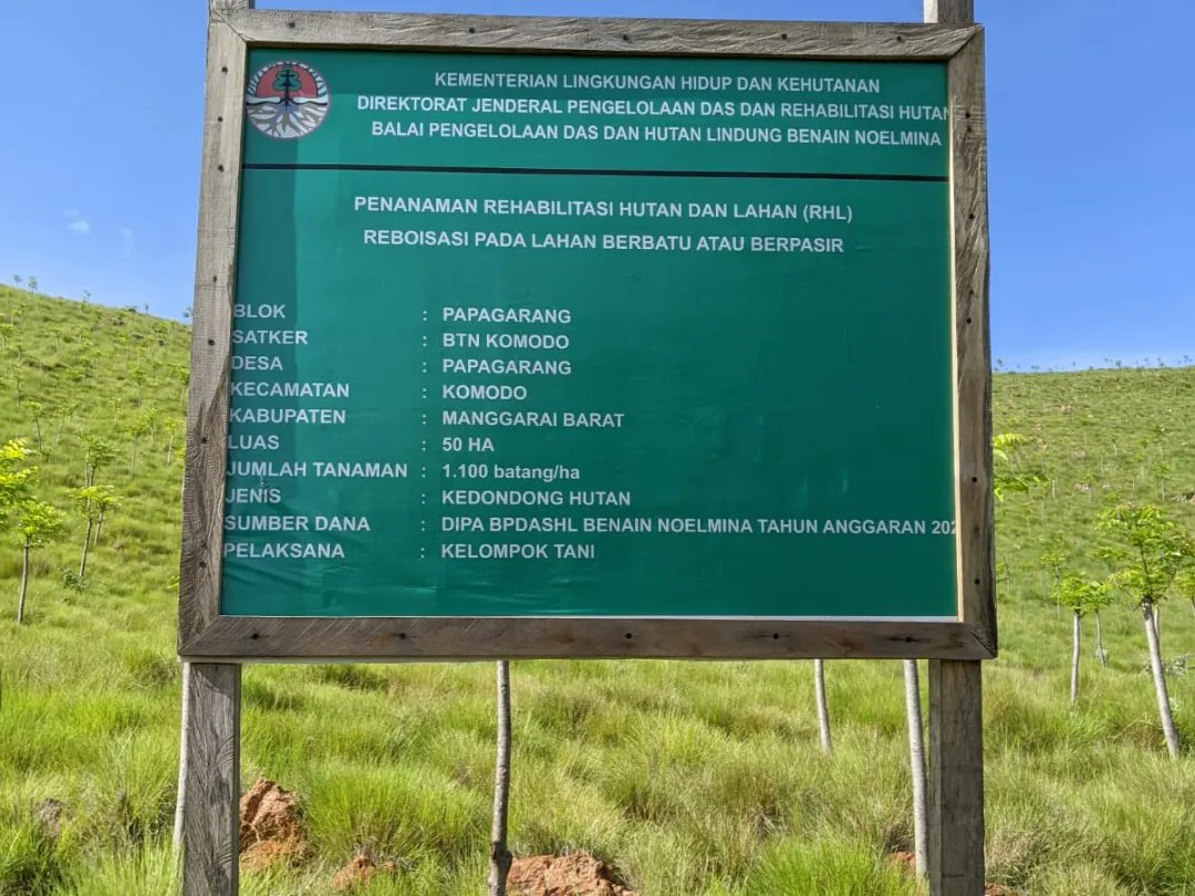 DitjenPDASRH's tweet photo. Lokasi tanah berbatu dan minim air ternyata dapat ditumbuhi tanaman kedondong hutan oleh kelompok tani Tiwu Dangkung di Desa Papagarang, Nusa Tenggara Timur. https://t.co/gMCQoZFLcG