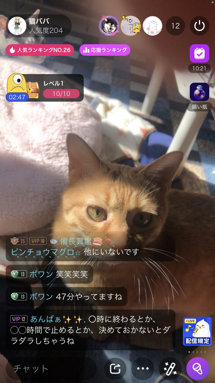 猫魔女様専用♥️MILANO 猫ブローチ | nalans.com