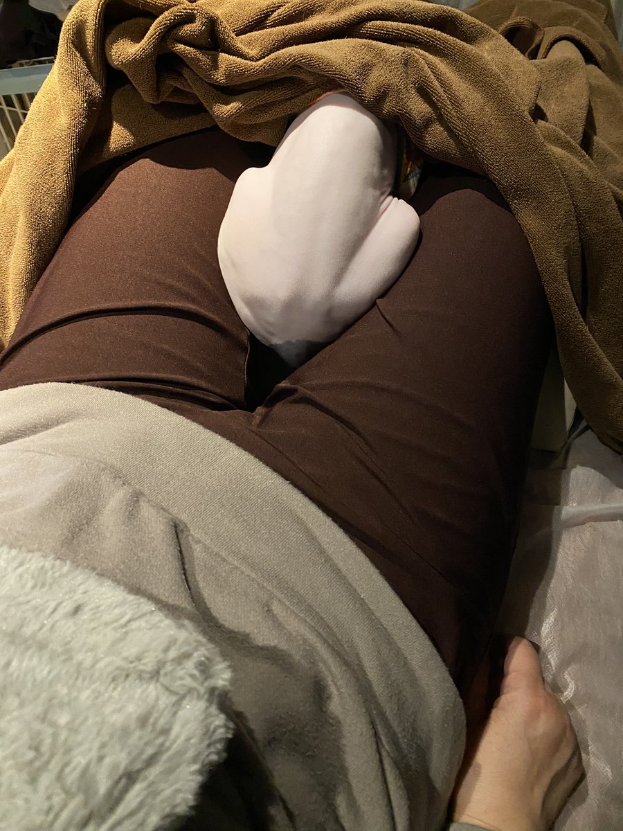 kitty_yomogi's tweet image. お客さんの膝の上で、、
なんか生々しい

#Sphinxcat #cat  #catlover  #스핑크스 #猫好きさんと繋がりたい #cute  #生々しい  #funny