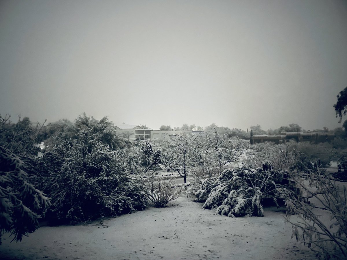 #Tucson Arizona 11:06pm March 1st #Snow