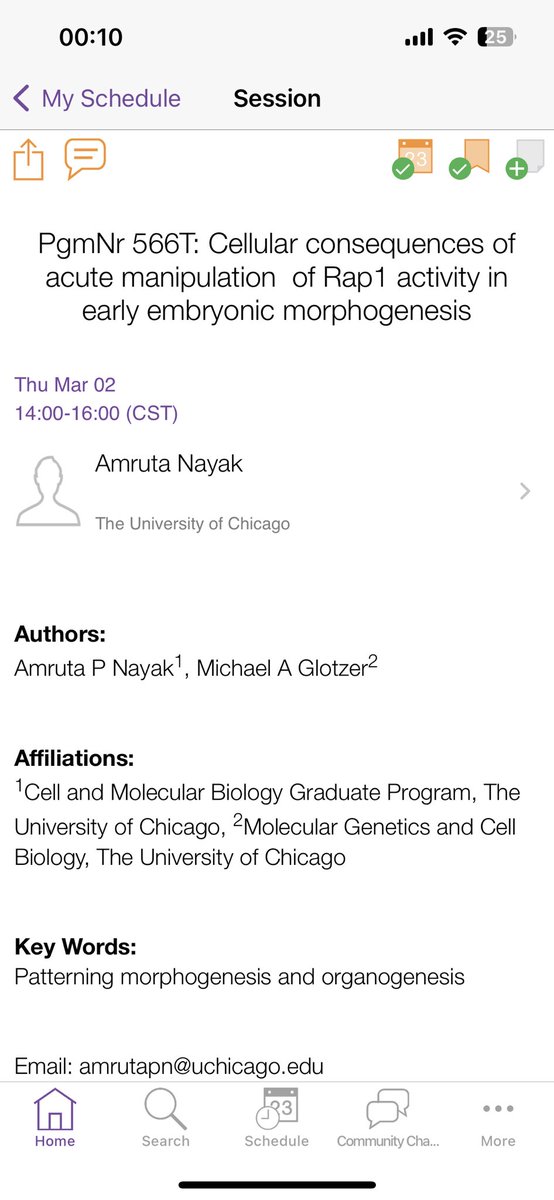 Rap1 optogenetics and its effect on embryonic morphogenesis - tomorrow at #Dros23