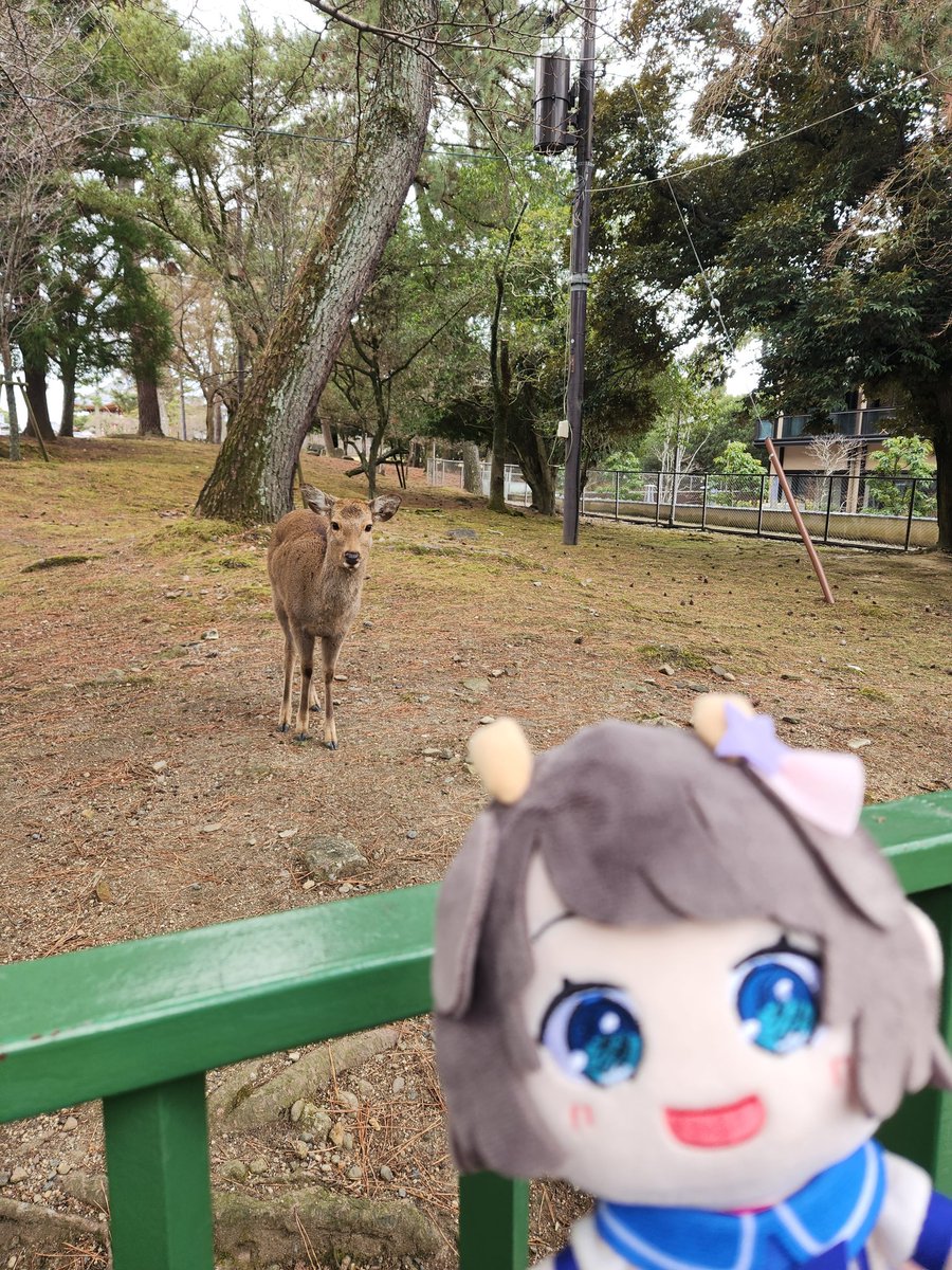 月悠🌼🎄🐟🍡🍓🕊🌟❄🤍 tweet media