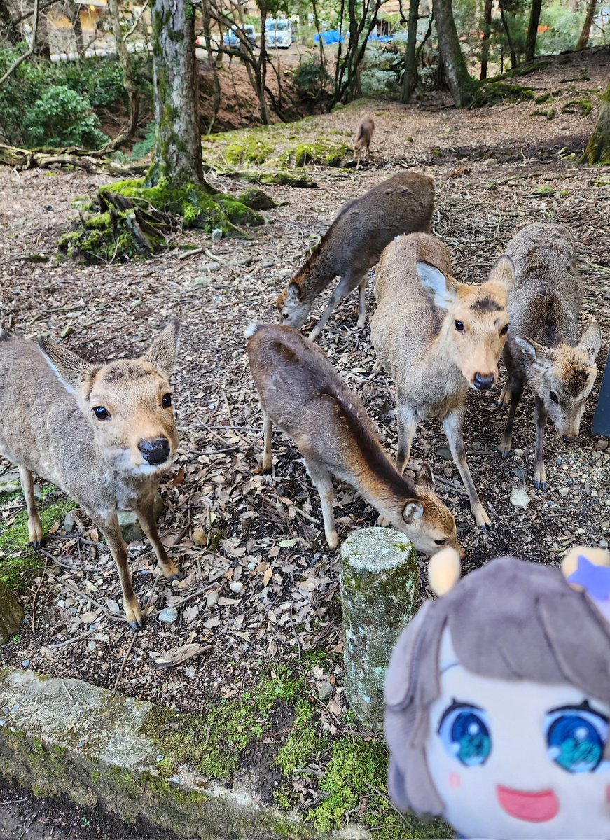 月悠🌼🎄🐟🍡🍓🕊🌟❄🤍 tweet media