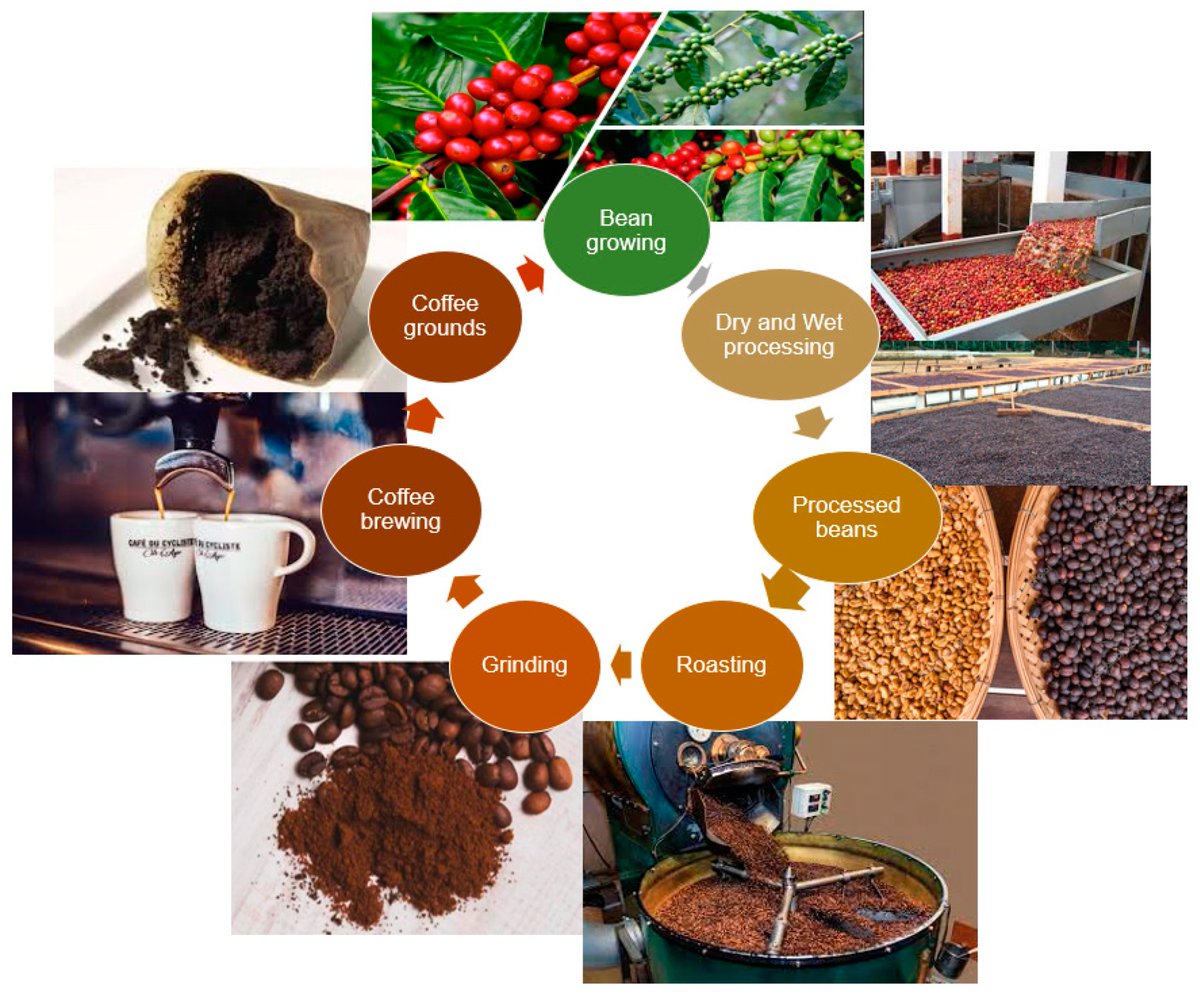 Materials_mdpi's tweet photo. #Publishedpaper
Welcome to read:

Spent Coffee Grounds as #Building Material for Non-Load-Bearing #Structures 

👉Full Paper: https://t.co/zyaoSsQWLC
📝Authored by Dr.  Tala Moussa et al.

#potato starch; bio-based #composite; #acoustical properties; #mechanical properties https://t.co/KLHl6PV0rc