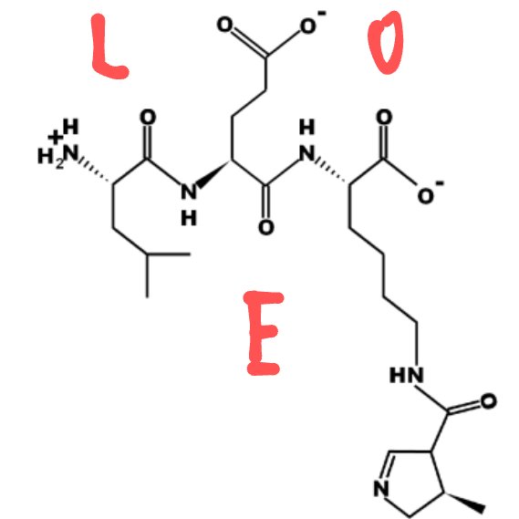 What makes science teachers happy: teaching students how to write their names using amino acids!

Here's mine, L-E-O: leucine, glutamate and pyrrolysine (an atypical amino acid found only in some bacteria)

#SciCommChat @chatbiology #scicomm