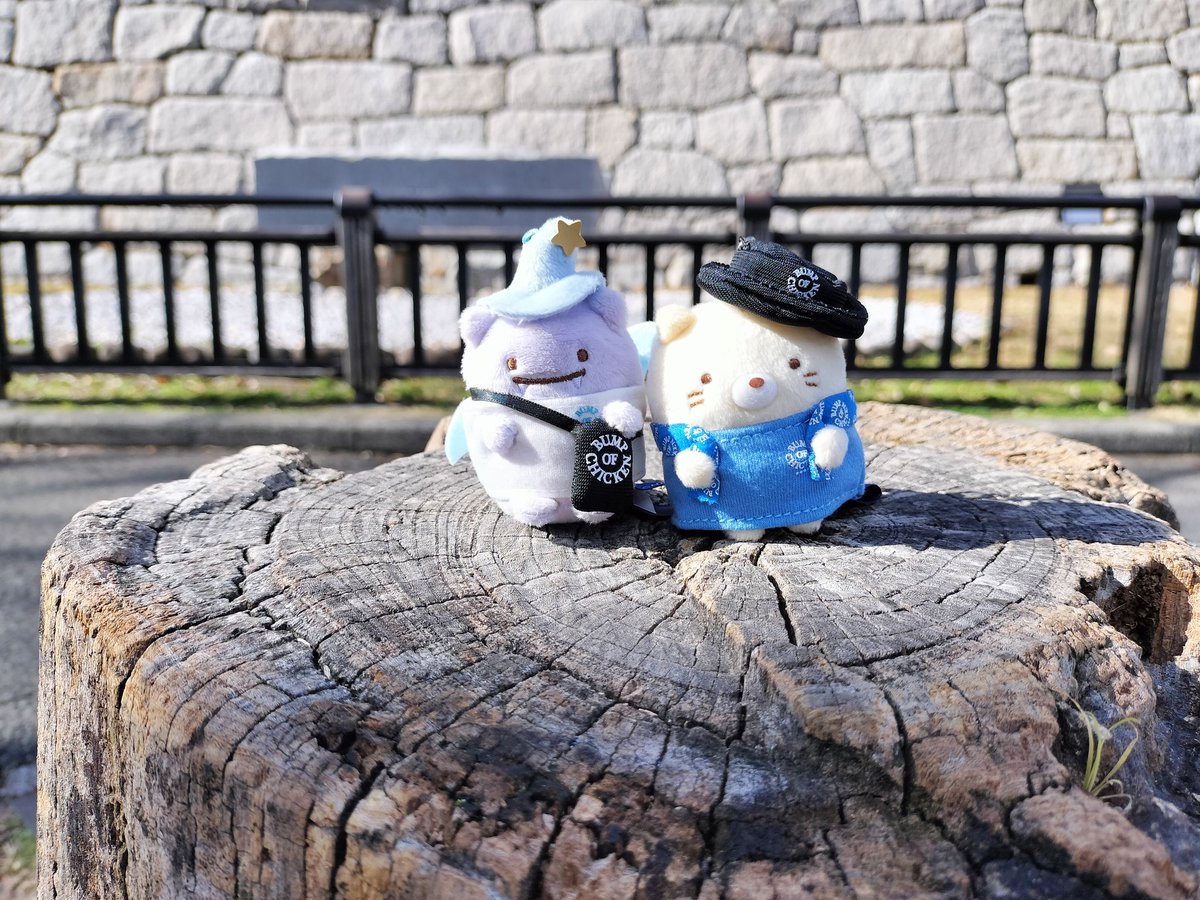 kinakooooo3's tweet photo. 晴れ間あると暖かい〜(っ'ヮ'c) https://t.co/X9fAqALuEJ