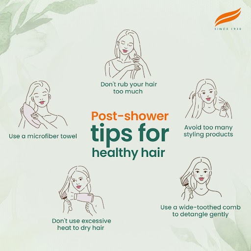 Himalaya_hair's tweet image. Your post-shower routine is just as important as hair nourishment! Are you making sure to follow all these tips to make sure your hair is healthy and beautiful? 

#HimalayaHairCare #selfcare #showerroutine #haircare #clinicallyproven #healthy #goodhair #herbalcare