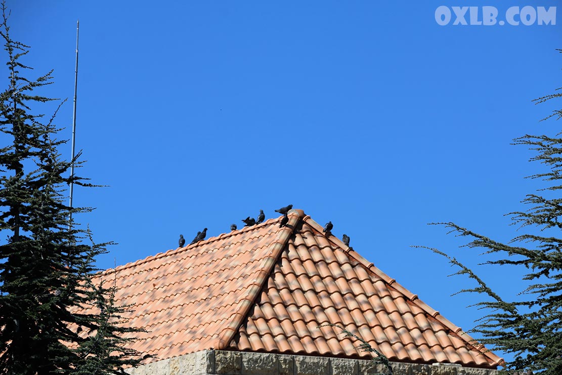 onefineart's tweet photo. Details from Deir El Kalaa Beit Mery Matn district
Visit https://t.co/hdWRmI3x87
#deirelqalaa #deirelkalaa #lebanon #lebanonmonastery #mylebanon #beitmery #discoverlebanon #lovelebanon #matn https://t.co/7eV6mDkeLY