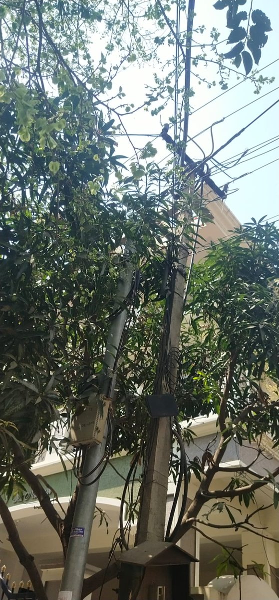 EE_ELECTRICAL_CMZ tweet media