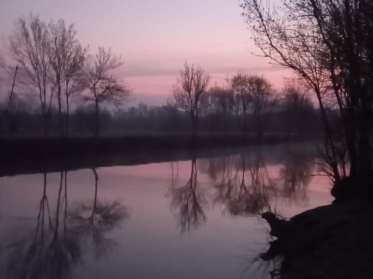 ElevyneP's tweet photo. Matin douceur 
Matin bonheur 
Bisous https://t.co/iNnSmbmcI9