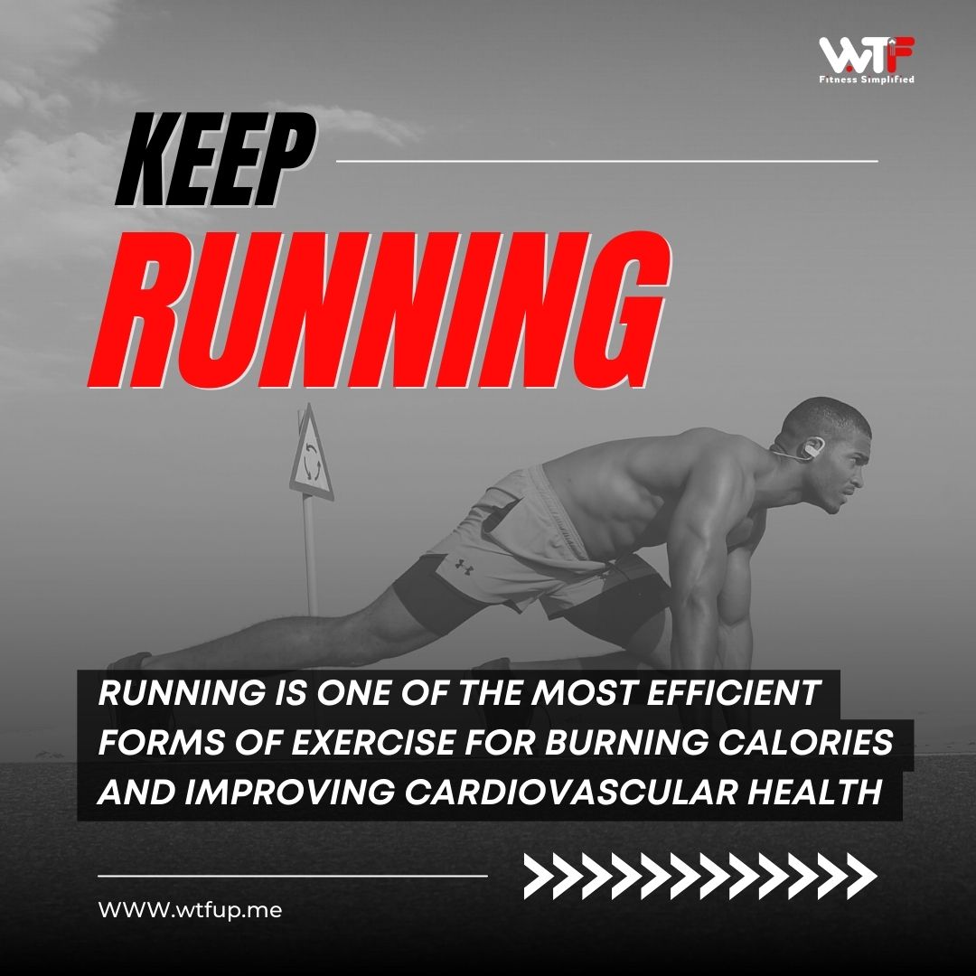 WTF : Premium Gyms, Fitness and Diet tweet media