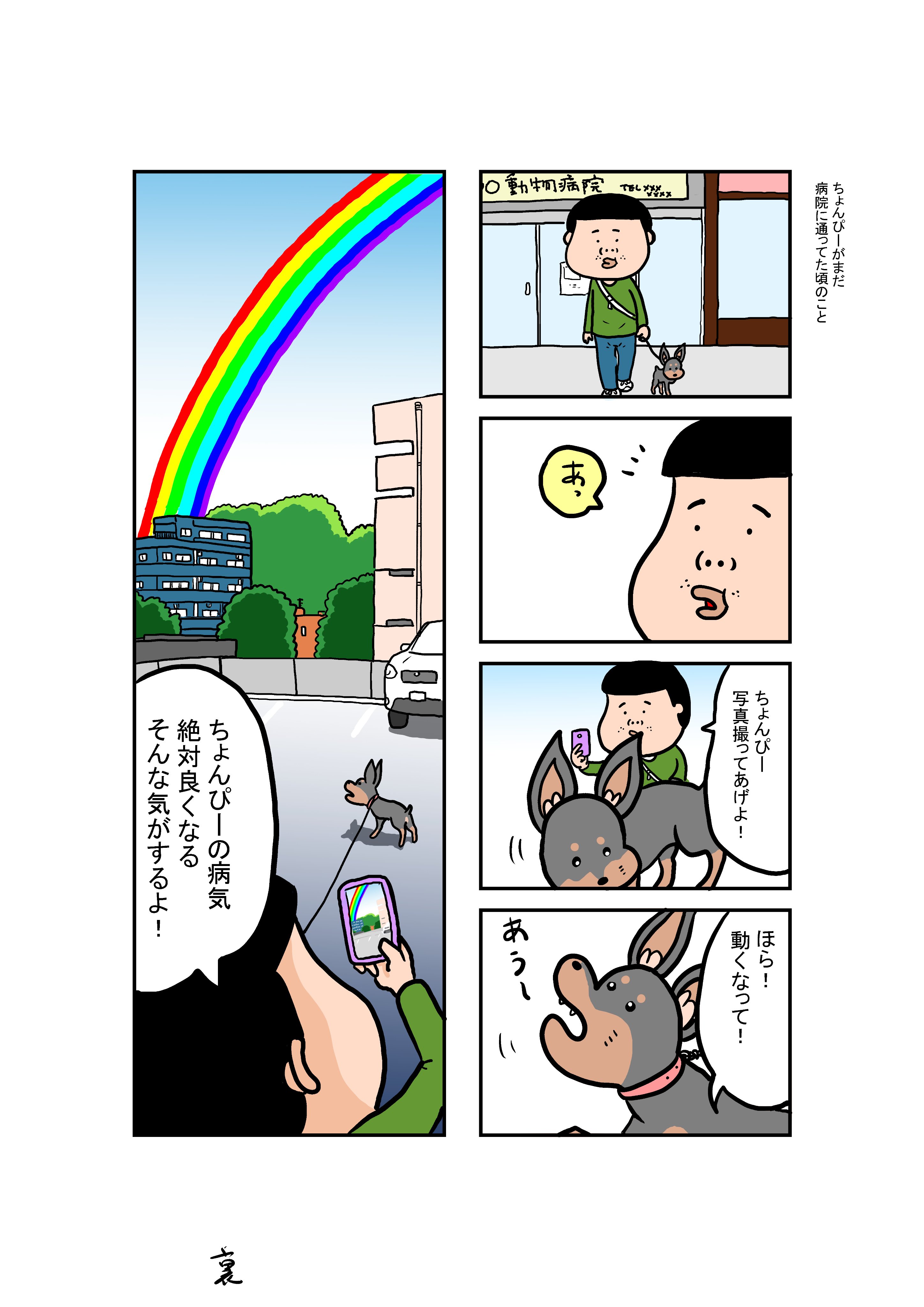 ぼくと三本足のちょんぴー1 - 検索 / X