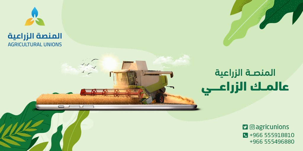 نسعــى لتحقيق أهداف متجرك ! 

#المنصة_الزراعية #خضار #فواكه #اسعار_الخضار #أسعار_الفواكه #مزرعه #زراعة #زراعي #فواتير #متجرك