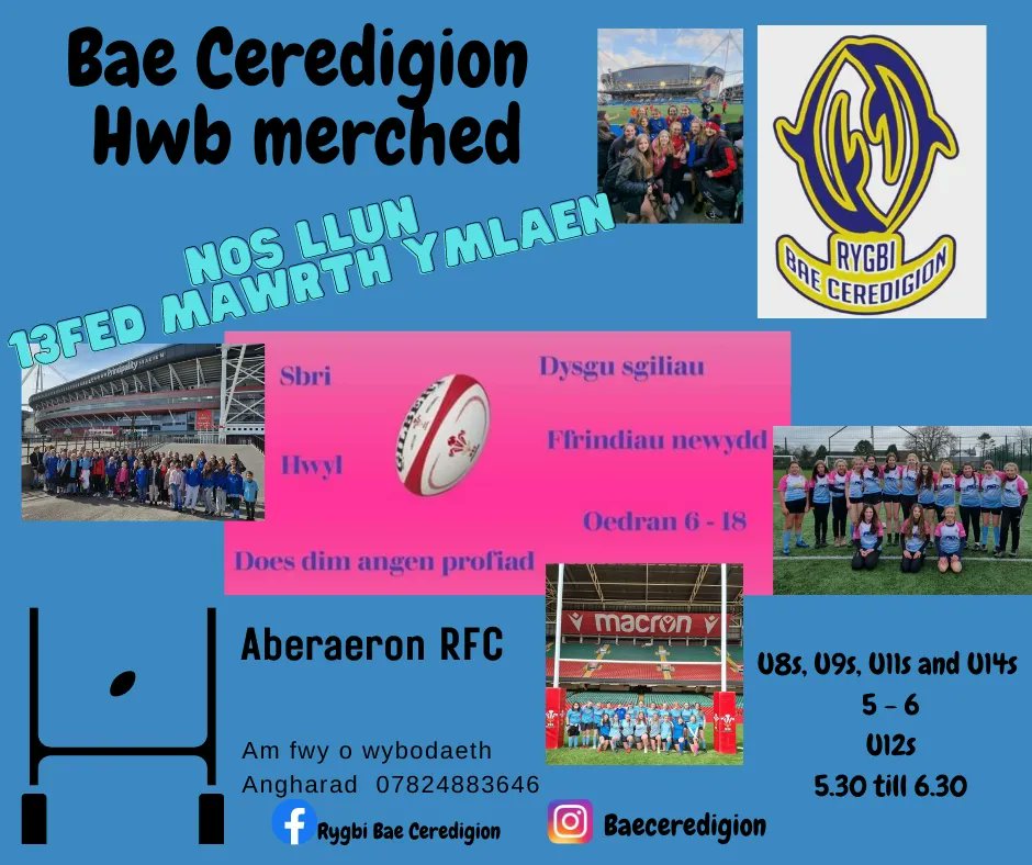 Bae Ceredigion Rugby tweet media