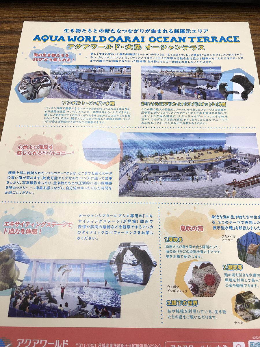 vegan_teacher__'s tweet photo. また、クラスへの配付がありました😡 前回は5枚ずつでしたが、今回は1枚ずつでした😠 恥ずかしいことではありますが、おかしいことはおかしいと、臆せず発信していきたいと思います😤 #水族館 #水族館反対 #nomoretanks #動物解放 #animalliberation #untileverytankisempty https://t.co/R2buzmObXZ
