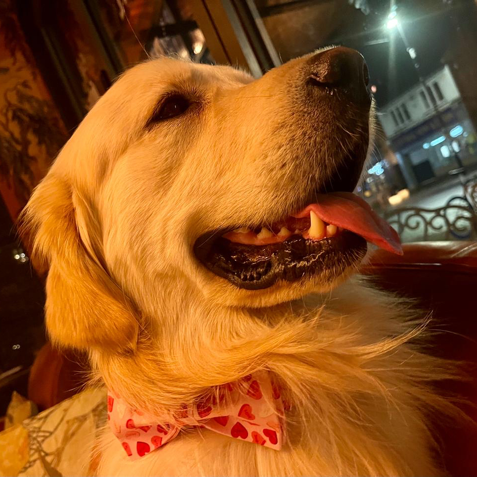 Portello Lounge tweet media