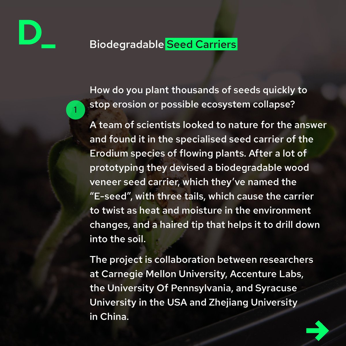 A team of scientists looked to nature for help in devising a biodegradable wood veneer seed carrier, which they’ve named the “E-seed”, that can drill down into the soil.