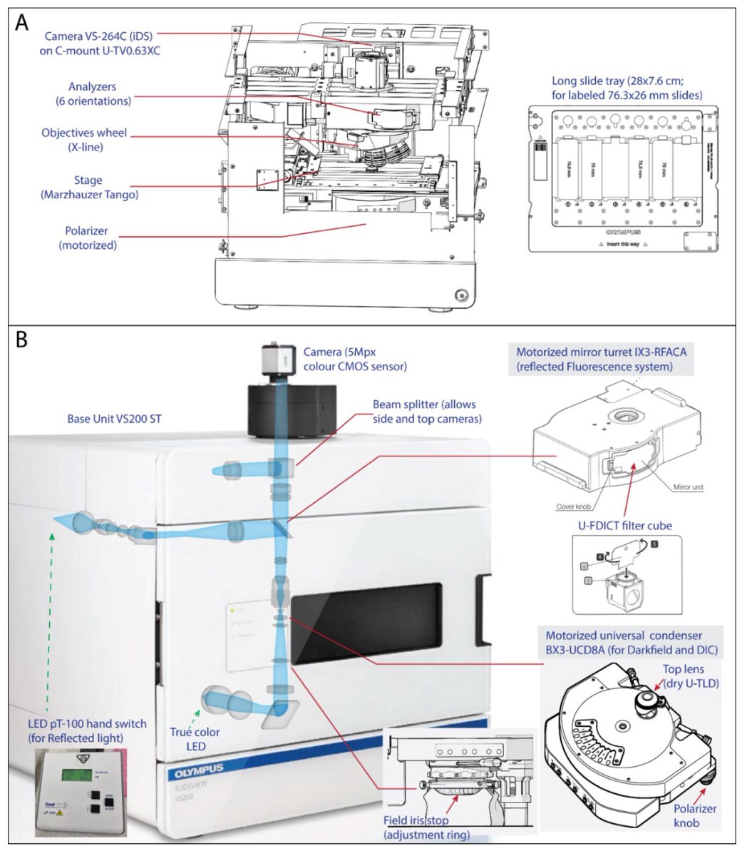 📢Check: #Petrographic_Microscopy with Ray Tracing and Segmentation from Multi-Angle Polarisation Whole-Slide Images
<a href="/MDPIEnvironment/">MDPI Environmental & Earth Sciences</a> <a href="/MDPIEngineering/">MDPI Engineering</a> #thin_section_imaging #image_processing #QuPath #machine_learning #automated_mineralogy
👉mdpi.com/2075-163X/13/2…