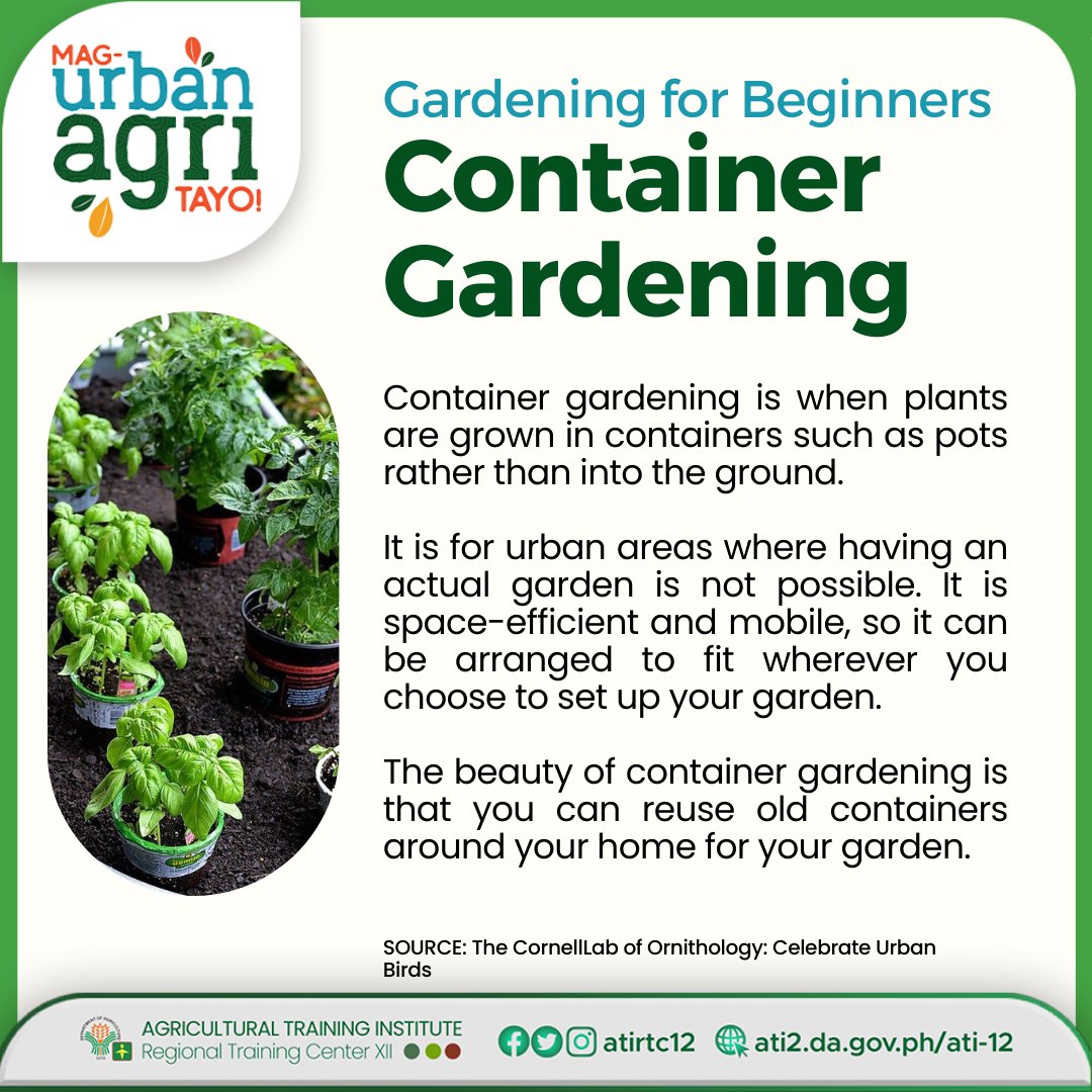 atirtc12's tweet image. Container gardening is when plants are grown in containers such as pots rather than into the ground.
#ati12 #ishareknowledge #ExcellentExtensionServices #ATIRehiyonDose #NUPAP