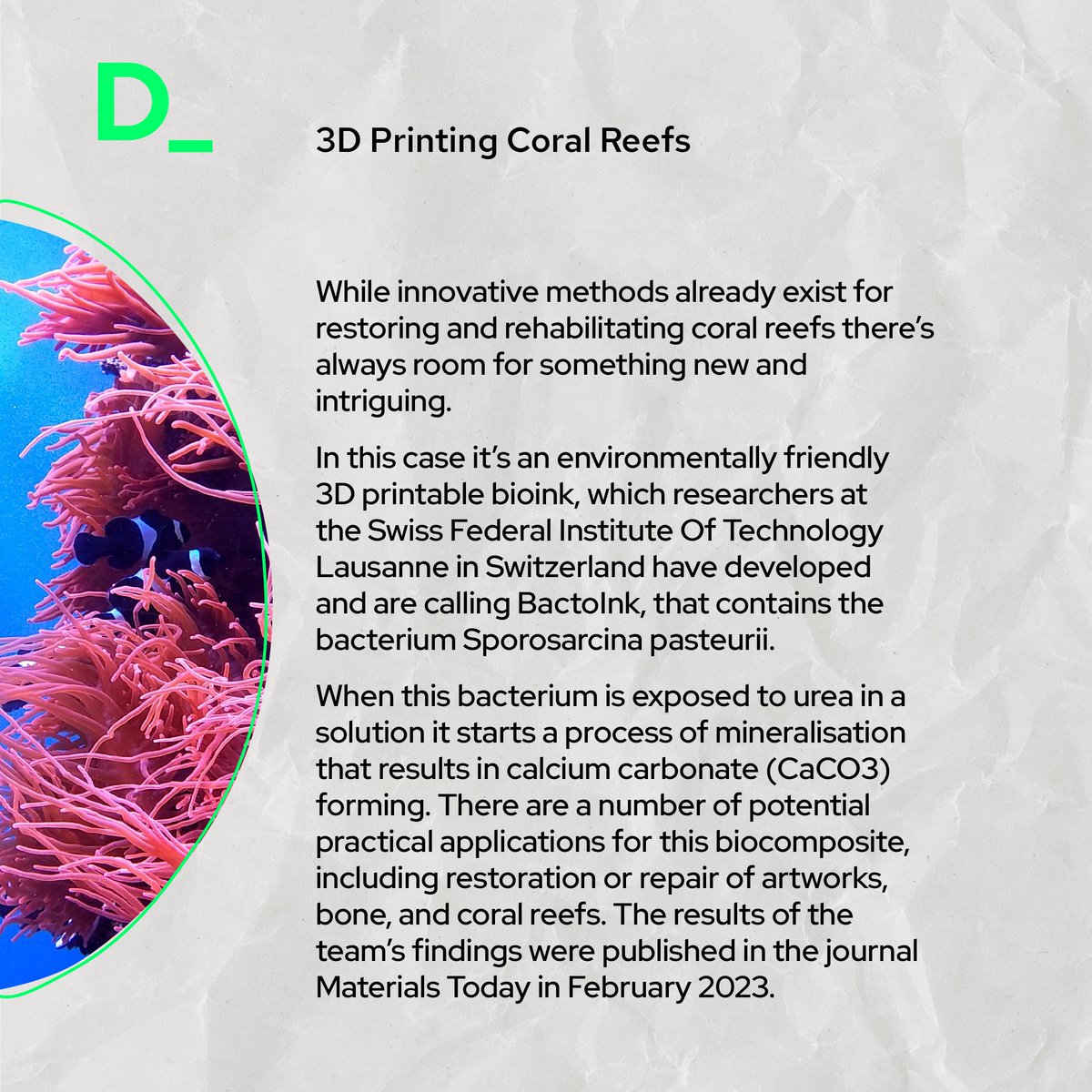 BactoInk, an environmentally friendly 3D printable bioink, results in a material that is porous but as strong as bone. Potential practical applications for this biocomposite include restoring coral reefs.