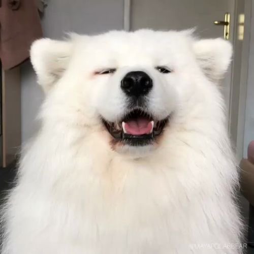 kz (@nakamurazone) on Twitter photo 