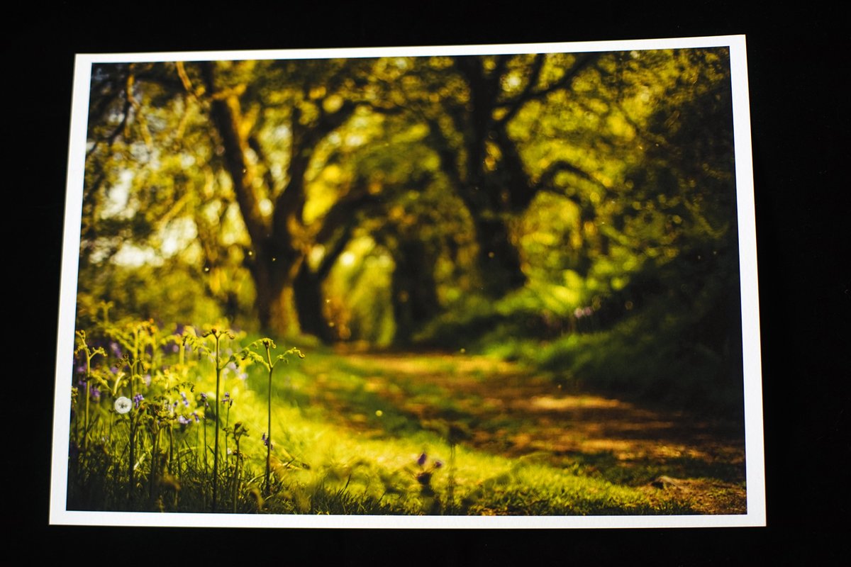 GlavindStrachan's tweet image. More #Projectorlens and #dartmoorphotos available on my #ebay 😍 #devonphotographer #dartmoorphotography #dartmoor #sticklepath #tavycleave #dartmoorpony #rollei #aldisprojector ebay.co.uk/usr/glavindstr…
