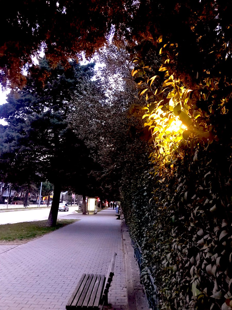 Ağaçların altında yürürken uzun uzun seyre daldım…
Ne anlamlı bir bilseniz!
Neler geçti kafamdan,
Neler düşündüm neler hayal ettim…
Önce korktum sonra tebessüm ettim,
dedim ki kendime;
KORKMA!
Şimdi şu an var!
Sonrası ne malum?
Sonramız var mı?
Sonra yok…
Bir var,
Bir yok!!!