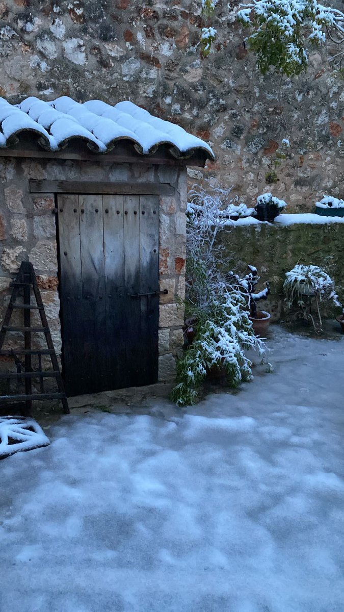 L’estampa blanca de la darrera nevada a #Sineu