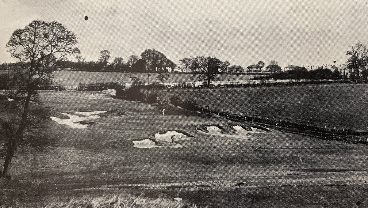 Jasper Miners tweet media