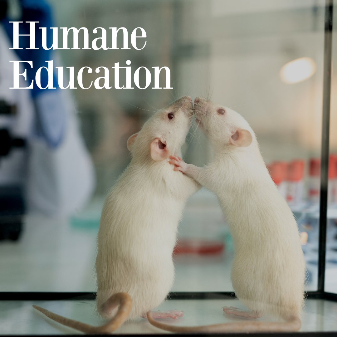 Let's work to instil humane education in our classrooms. We encourage teachers to teach about biological processes in a manner that instils a greater respect for animals while avoiding methods that treat animals as disposable commodities.