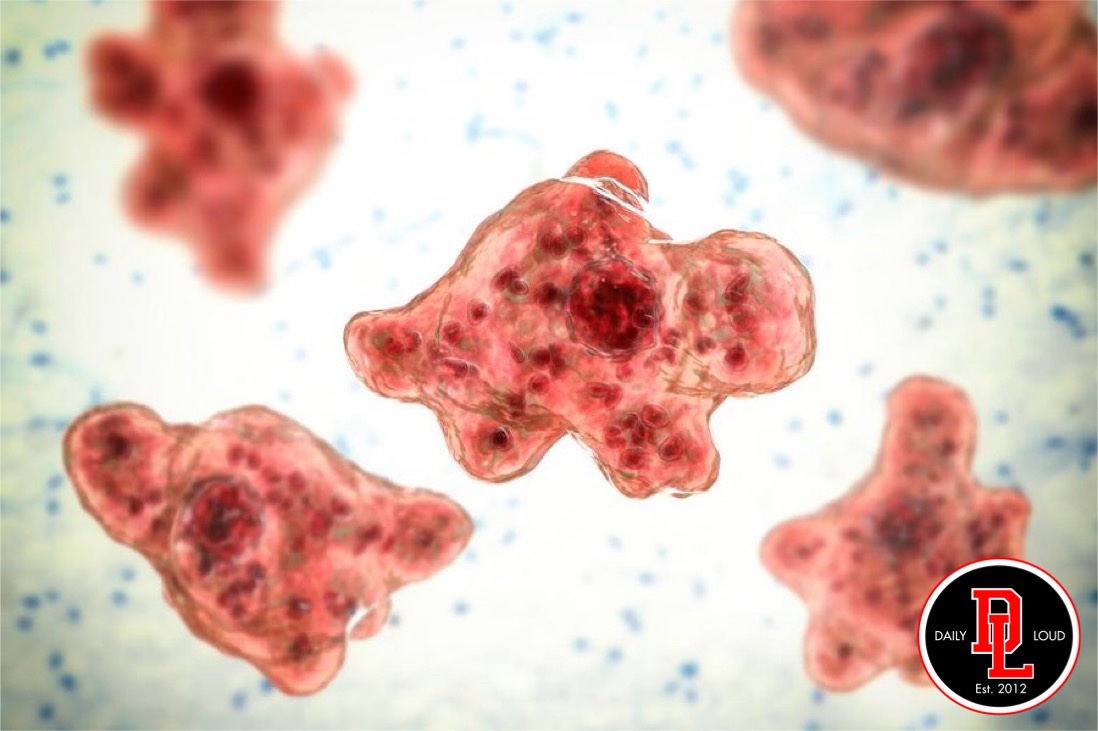 Daily Loud tweet media