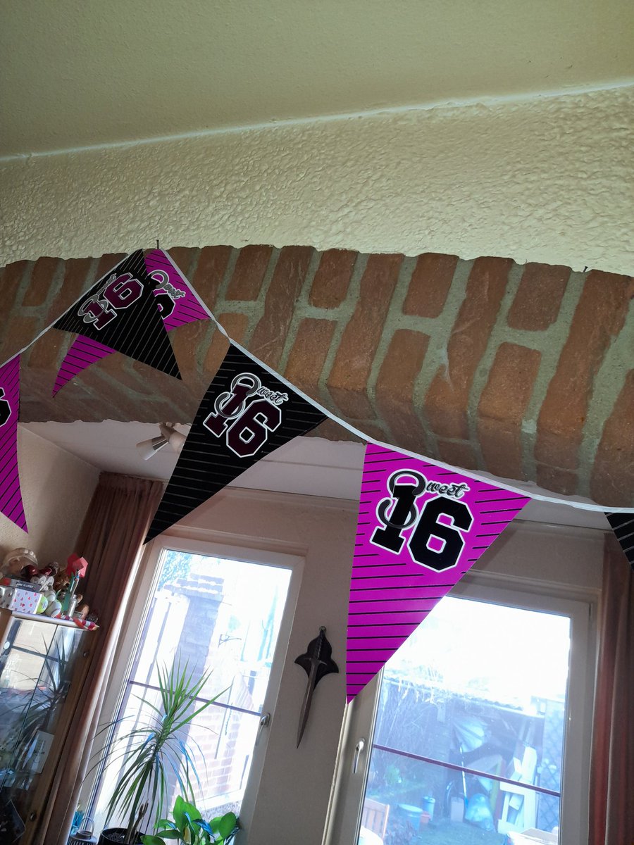 My little ickle turned 16 today.....