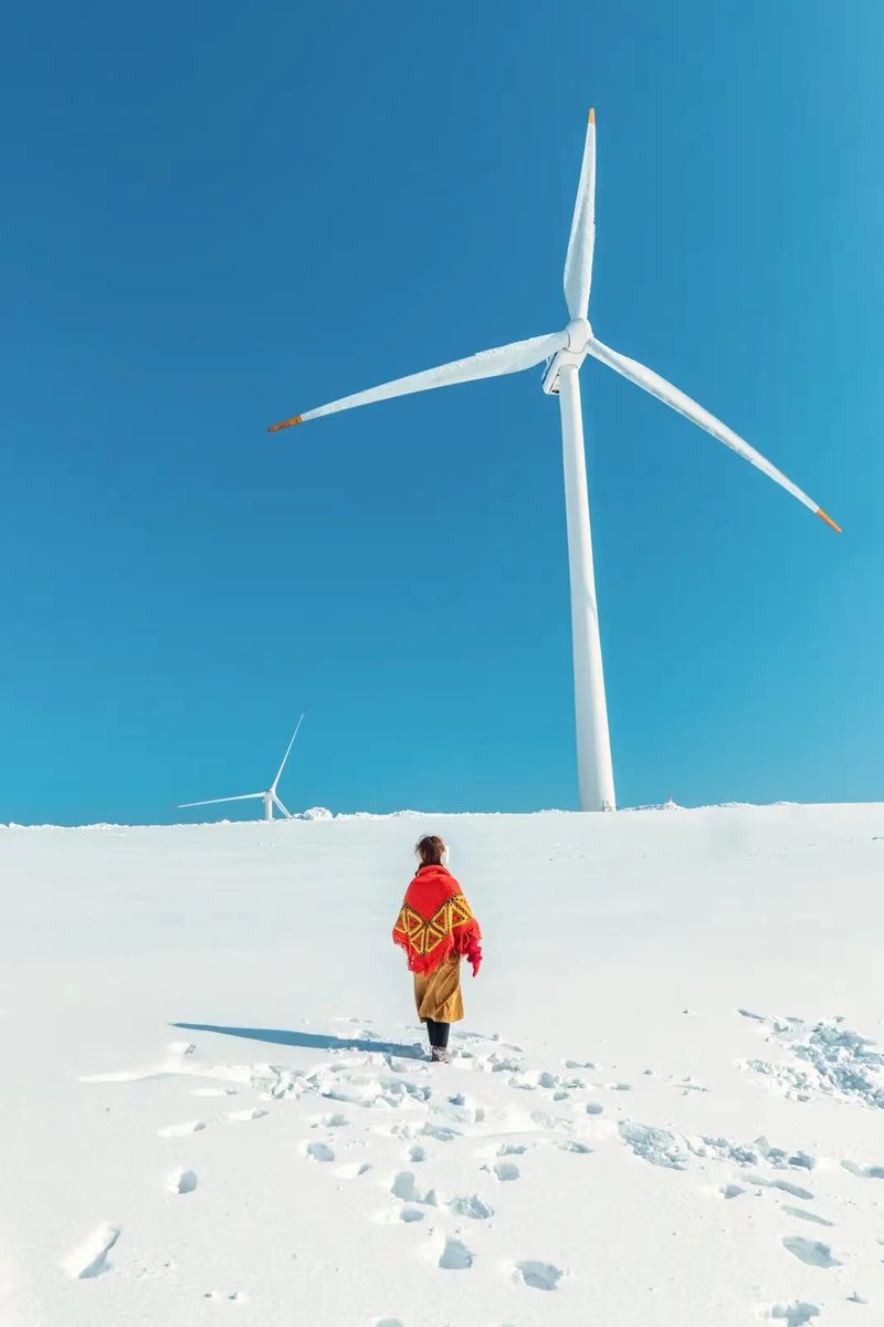 DermalMask's tweet image. Beautiful snowy!