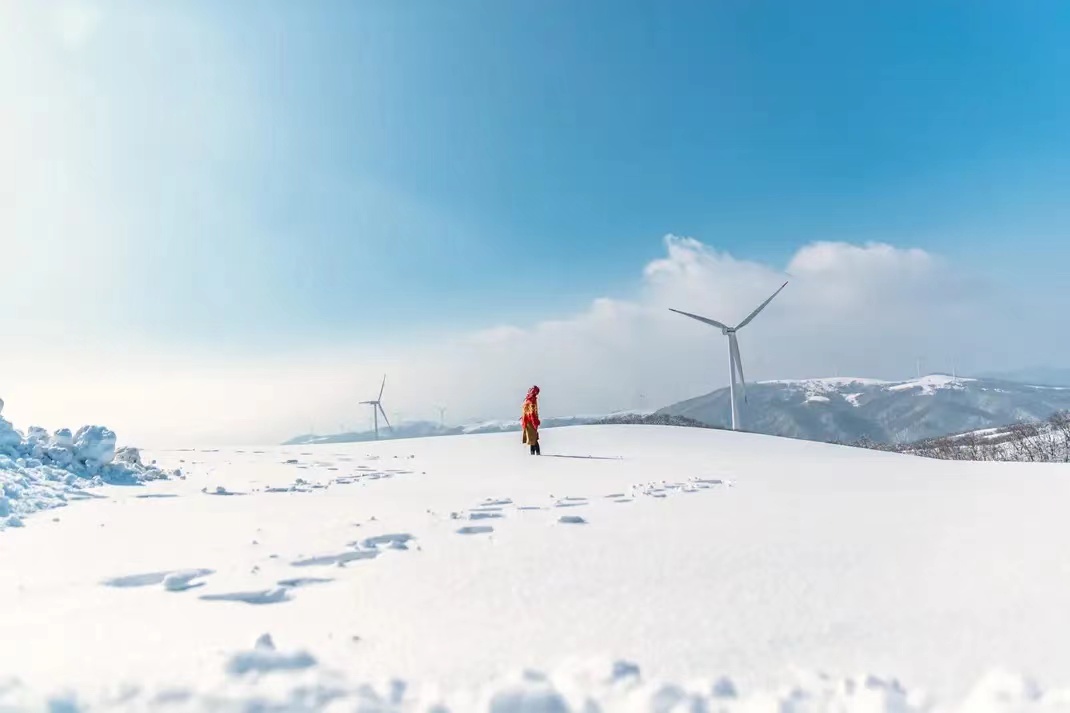 DermalMask's tweet image. Beautiful snowy!