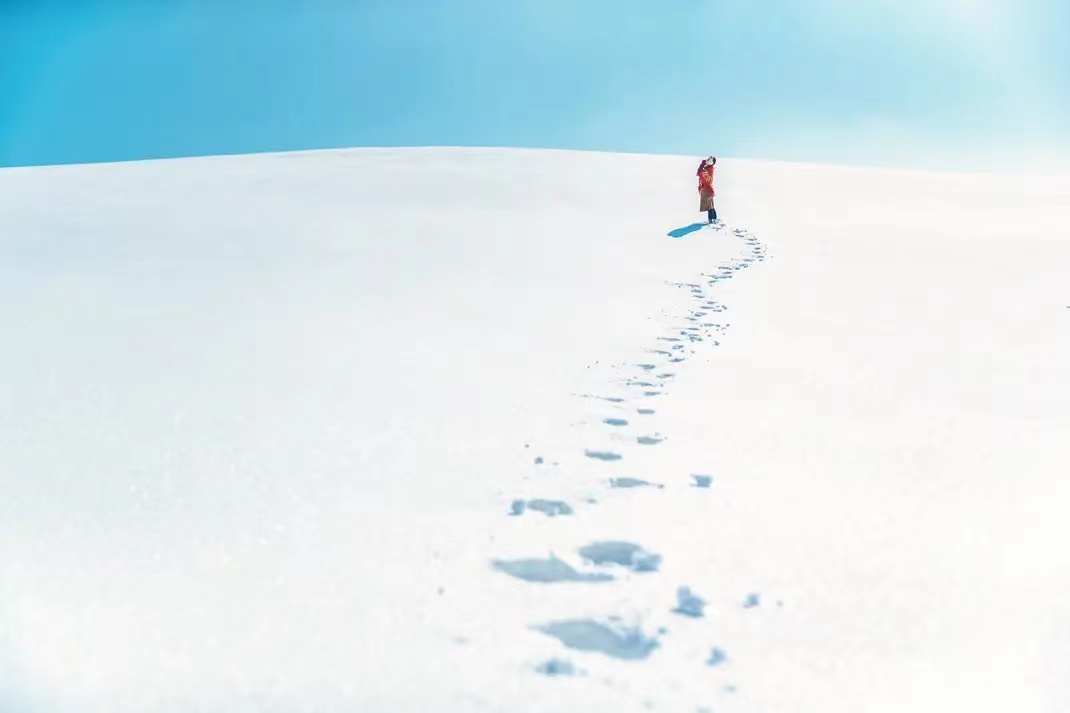 DermalMask's tweet image. Beautiful snowy!