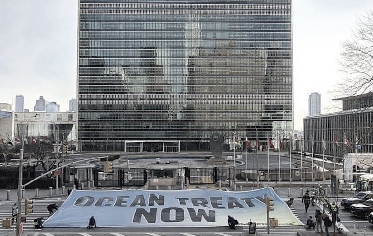 Isabella Lövin 🌻 tweet media