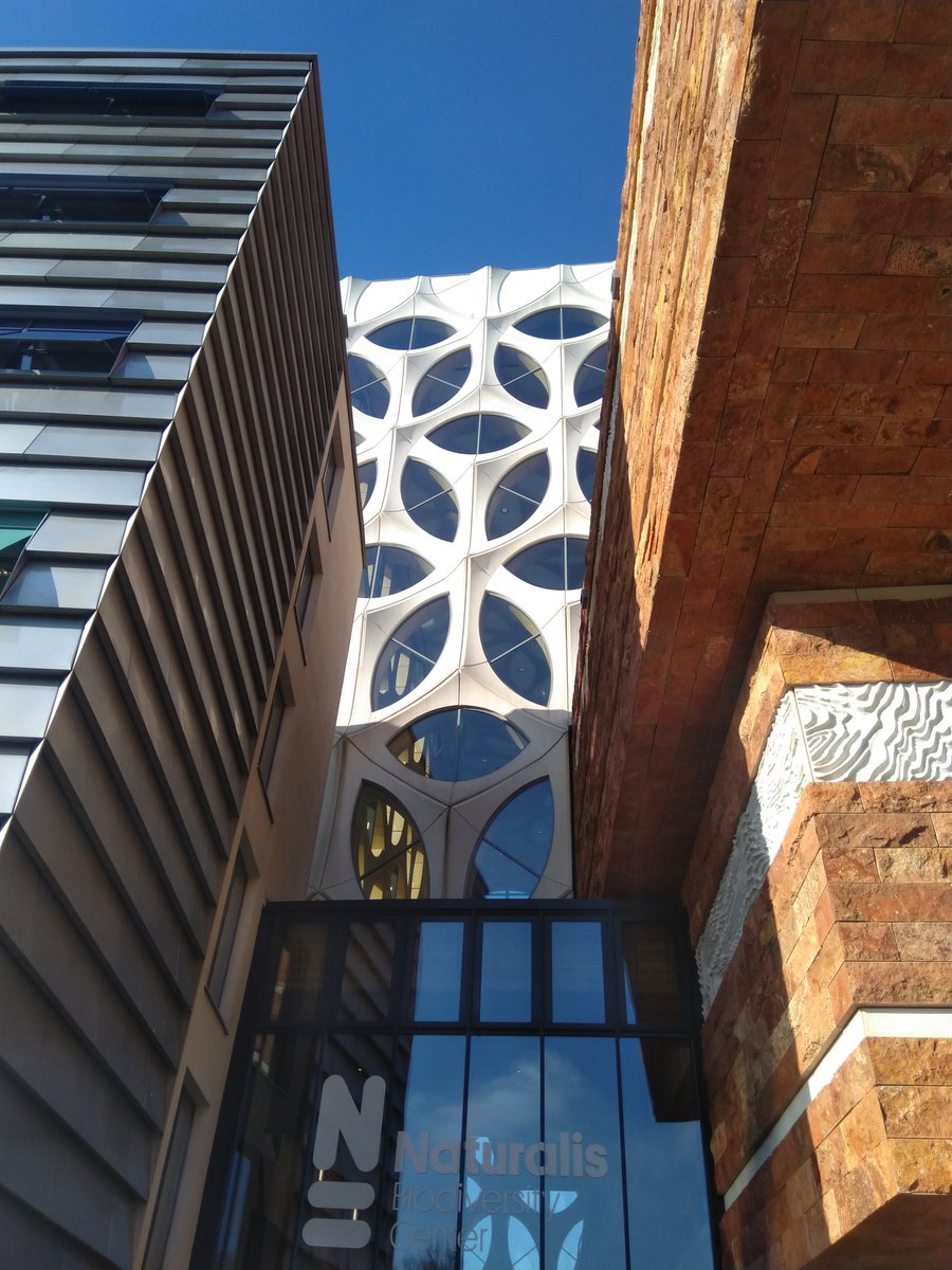 Frank van Mil tweet media