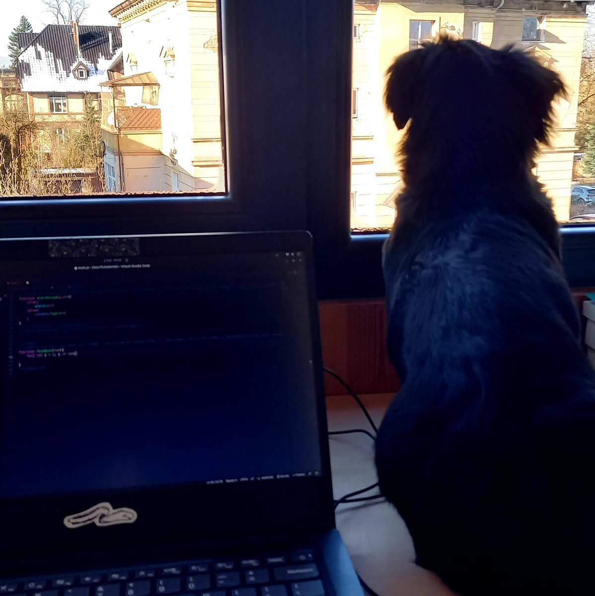 That's the only way to code with a puppy 🐶