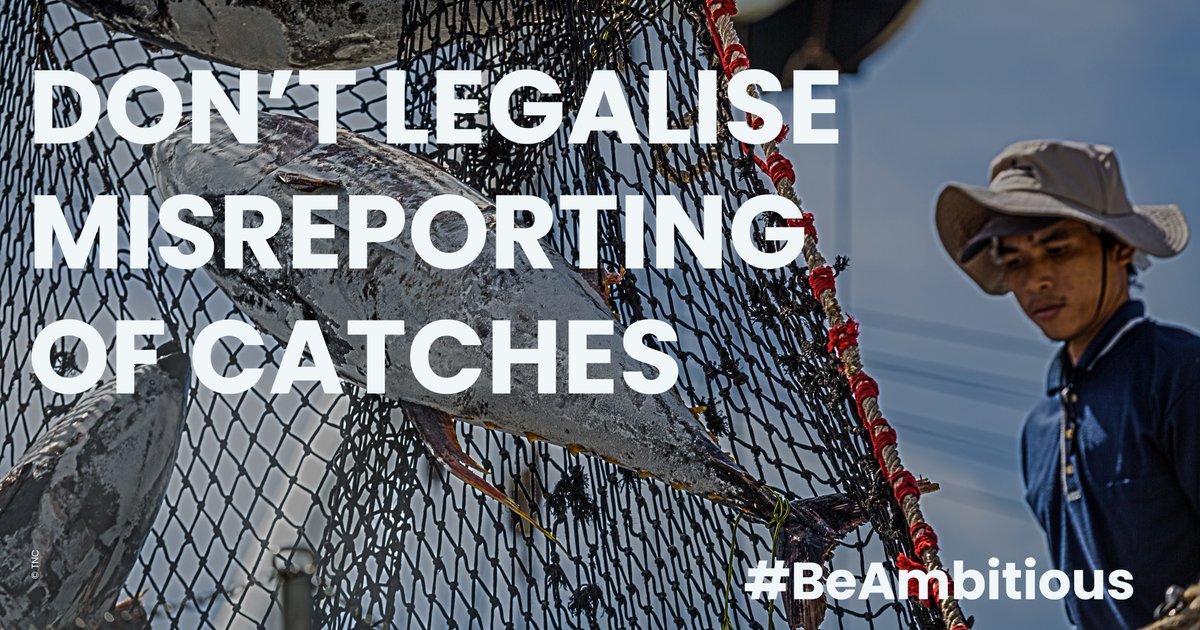 Discussions on revisions to the EU #FisheriesControlSystem threaten to decrease catch data reporting standards.

This would make it easier for unscrupulous operators to devastate fish populations.

The EU must reject this move.

#SecureSustainableFisheries #FisheriesControl