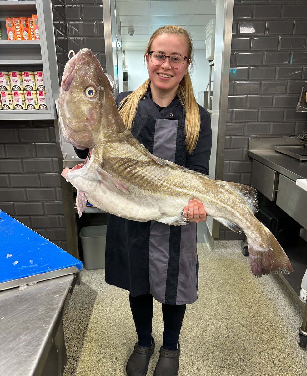 A magnificent beast ✨ next to the smallest member of #TeamFish #whopper #beastfish