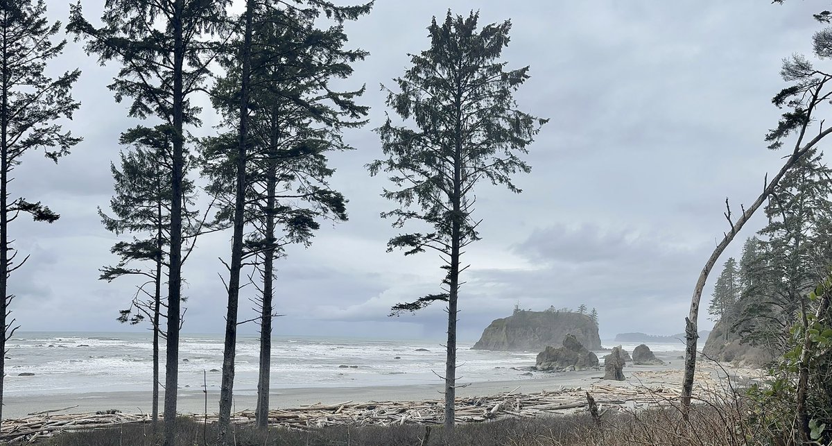 nekopog's tweet photo. We finally made it to Ruby Beach! It’s been closed a lot the last couple of years bc of mudslides etc #RubyBeach #OlympicPeninsula #OlympicNP https://t.co/a0ZI3xnbuo