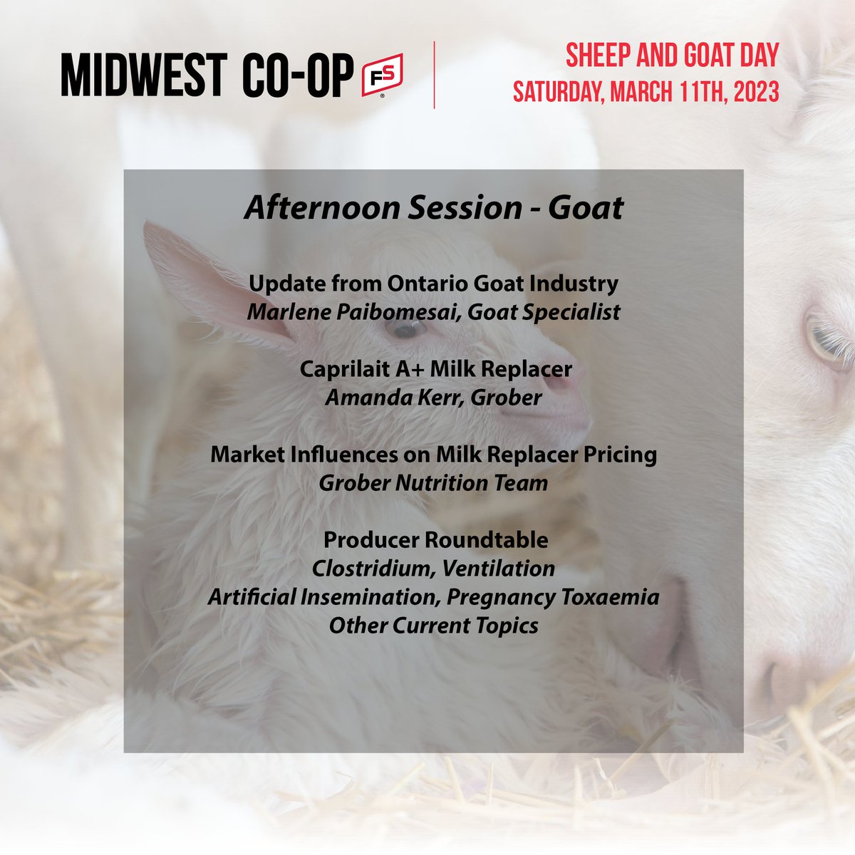 March is coming in like a lamb! Sign of spring is Midwest Co-op's Annual Sheep and Goat Day. March 11th in Mount Forest - for details, or to RSVP please contact your local branch! 🐏🐐