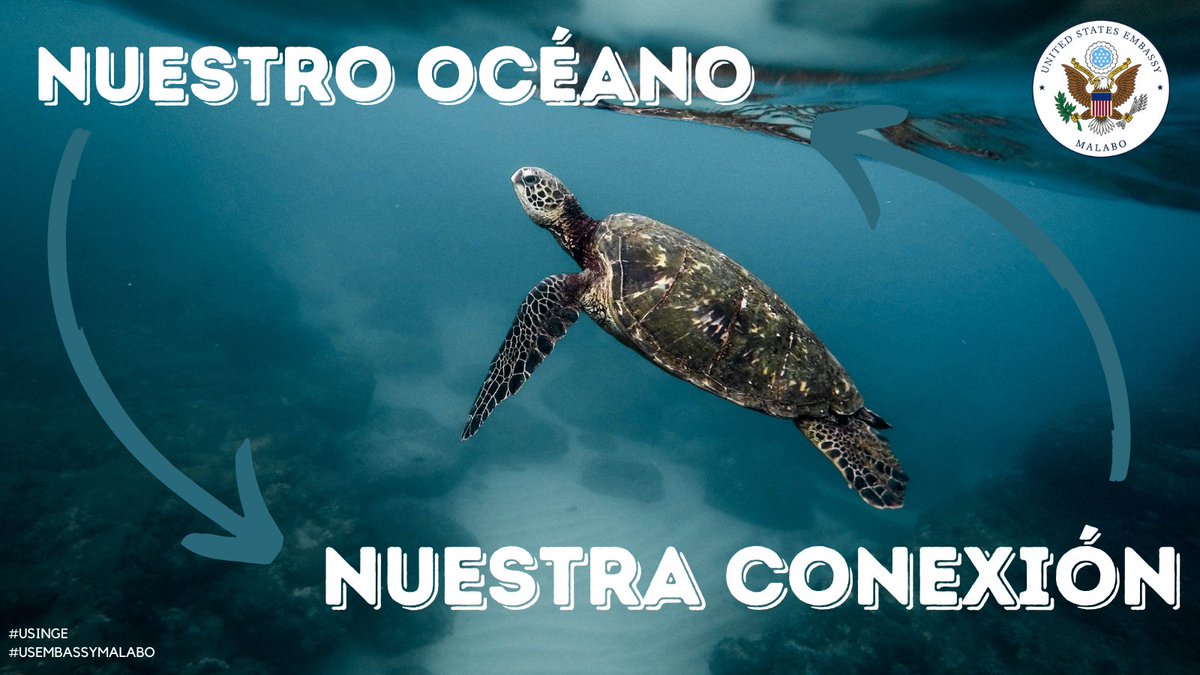 Hay 2 problemas principales que impactan al medio ambiente de #GuineaEcuatorial, la sobrepesca y la contaminación plástica. Debemos implementar políticas que hagan cumplir las prácticas de pesca sostenible y debemos eliminar el plástico de los ríos y océanos. #USinGE #OurOcean