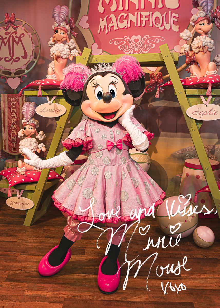 ディズニーワールドでミニーにハグしてもらった！ サイン帳をみて日本