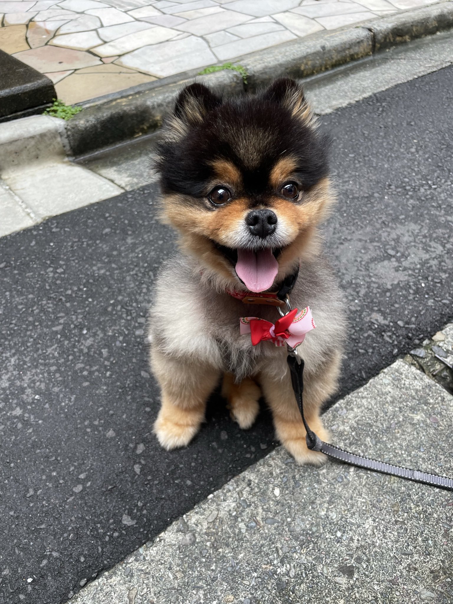 60日スターターキット - Search / X